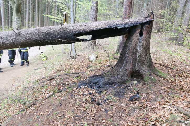 zdroj: PČR