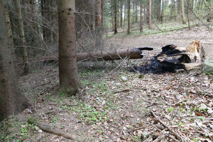 zdroj: PČR
