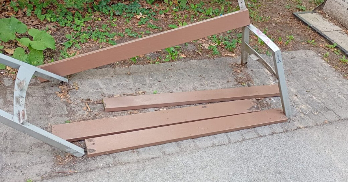 zdroj: Výstaviště Flora Olomouc
