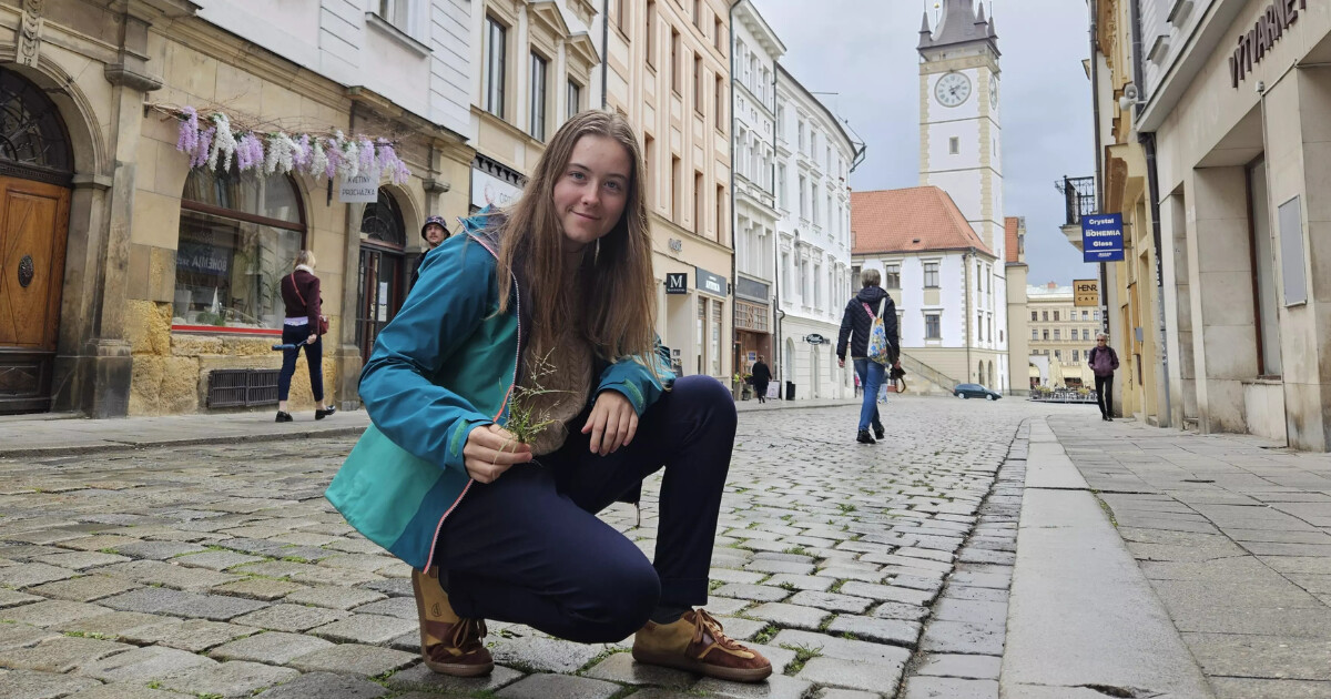 Zdroj: Věra Kafková