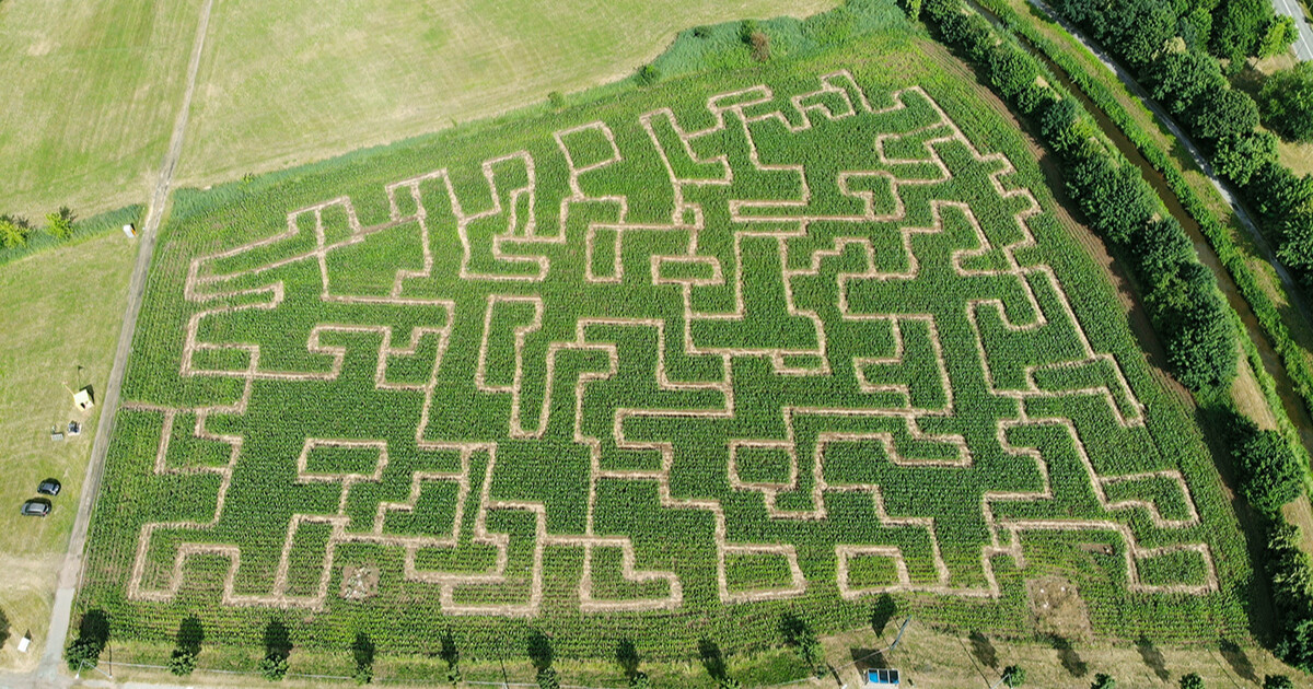 zdroj: Kukuřičáci