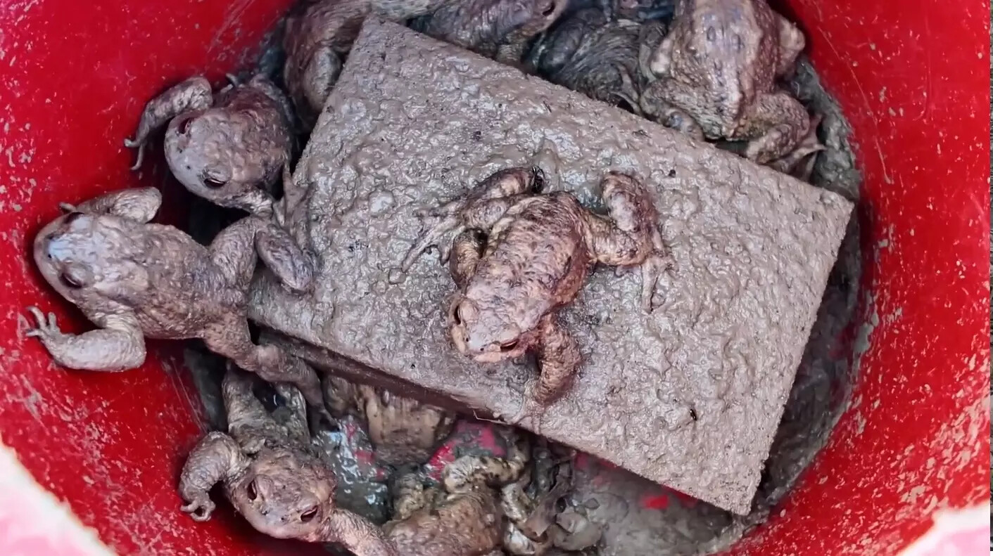 zdroj: Střední škola zemědělská, Přerov