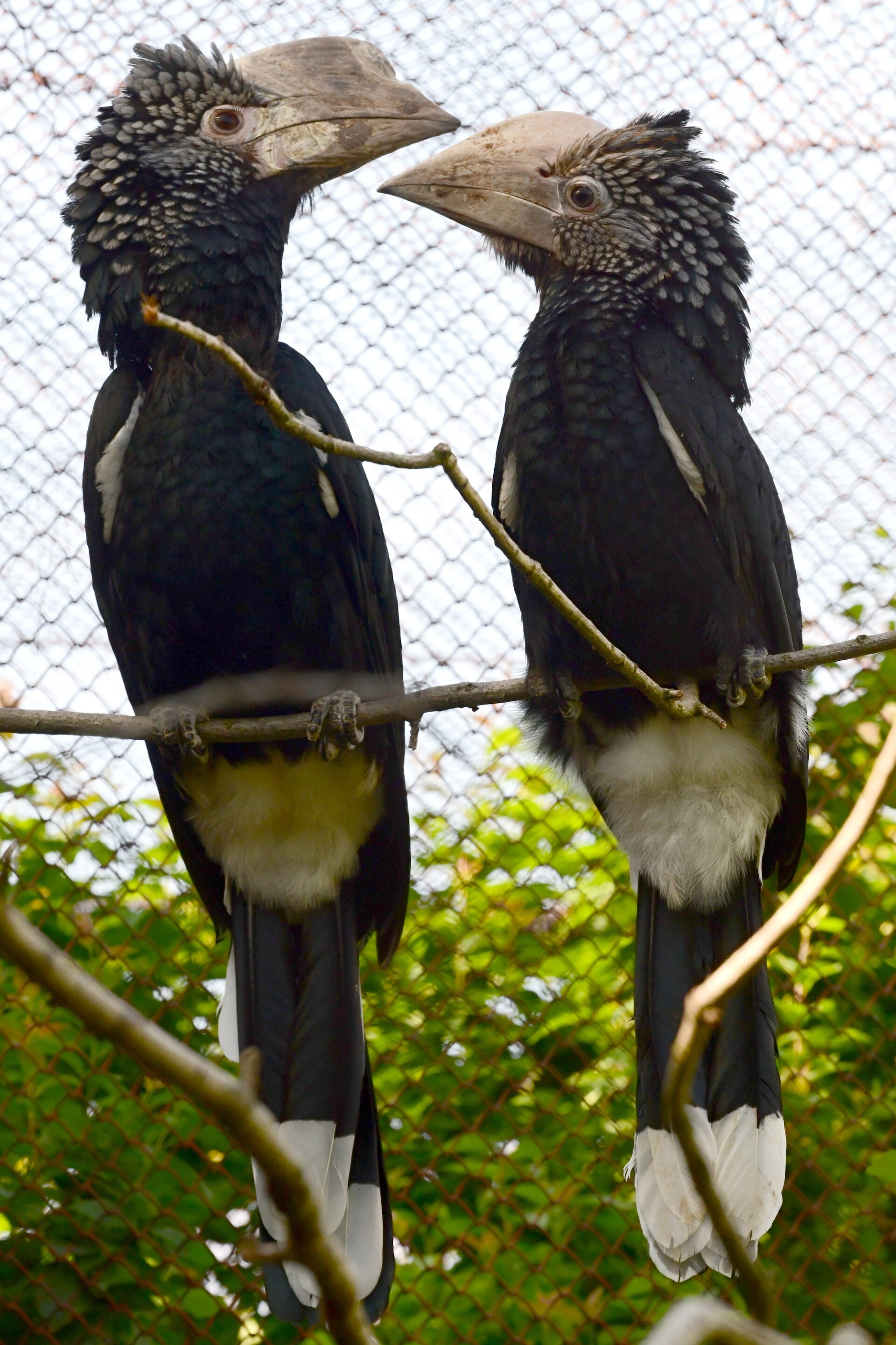 zdroj: ZOO Olomouc