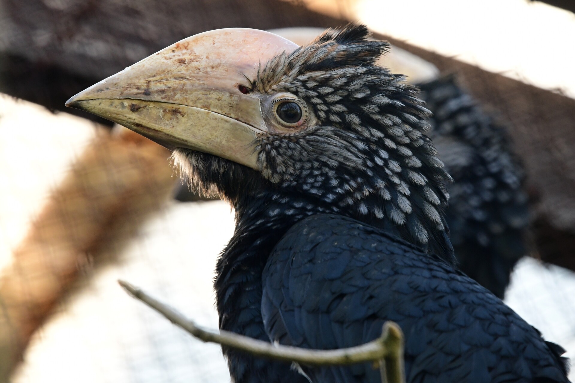 zdroj: ZOO Olomouc