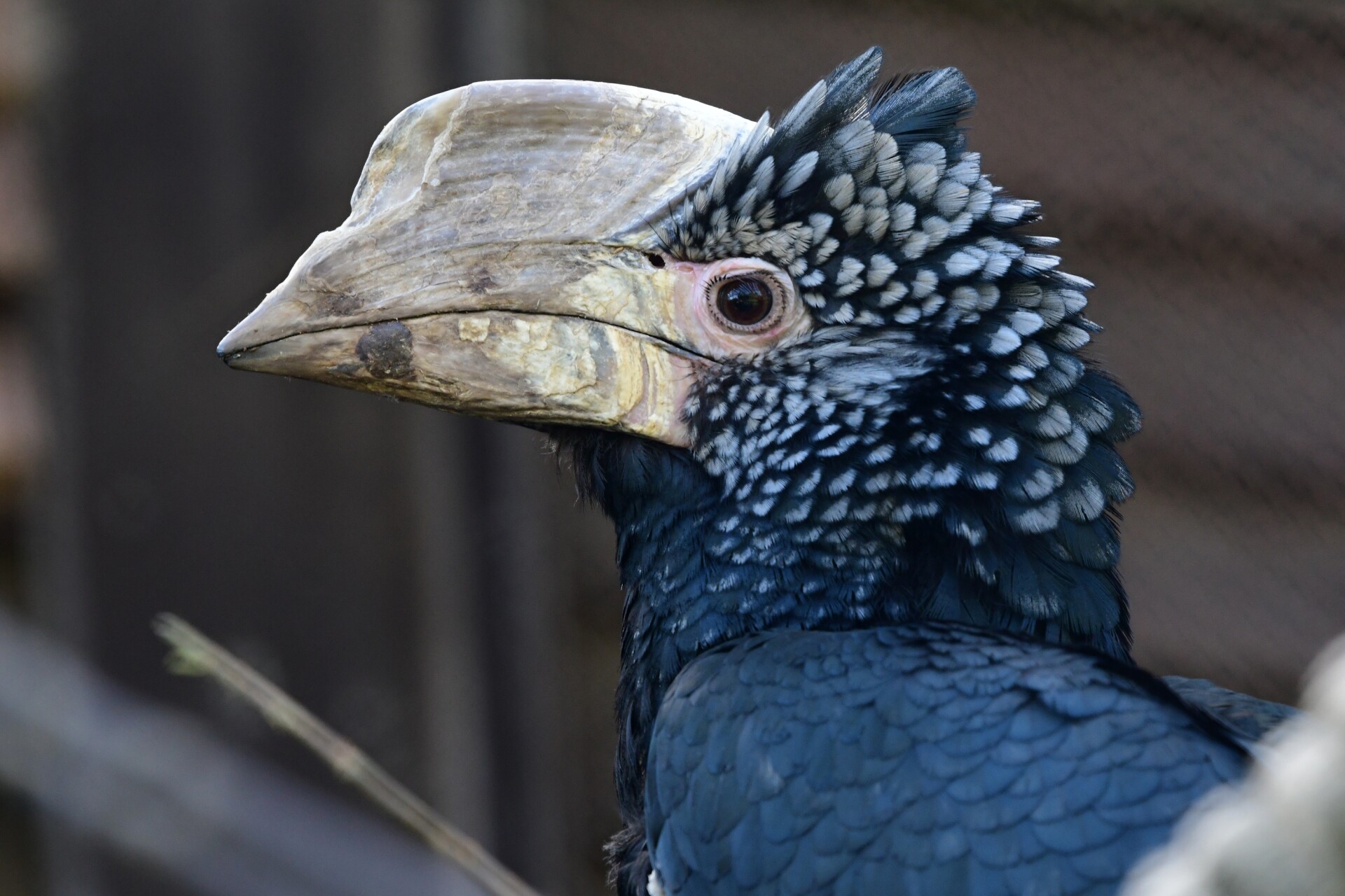 zdroj: ZOO Olomouc