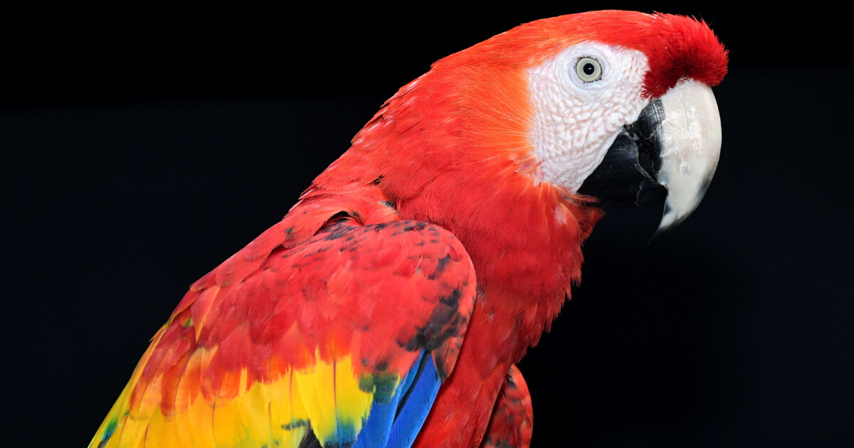 zdroj: Zoo Olomouc