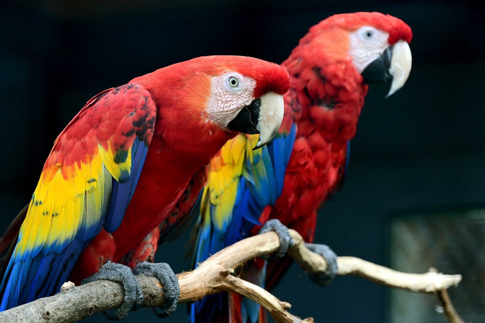 zdroj: Zoo Olomouc