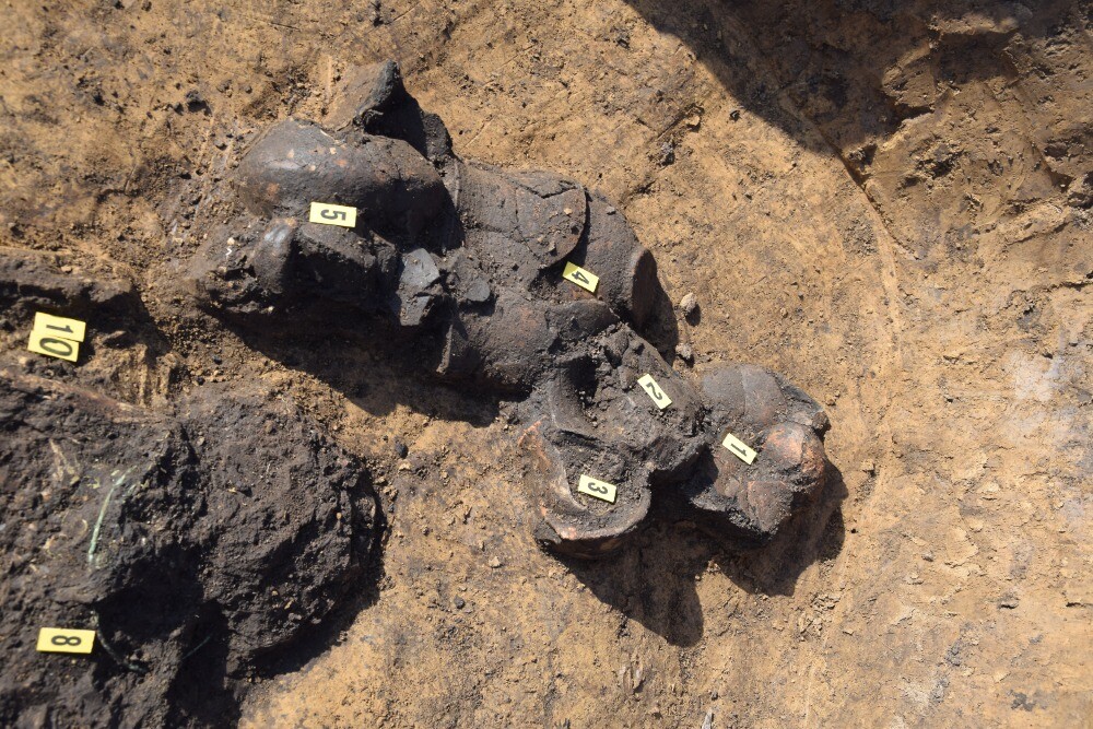 zdroj: Archeologické centrum Olomouc