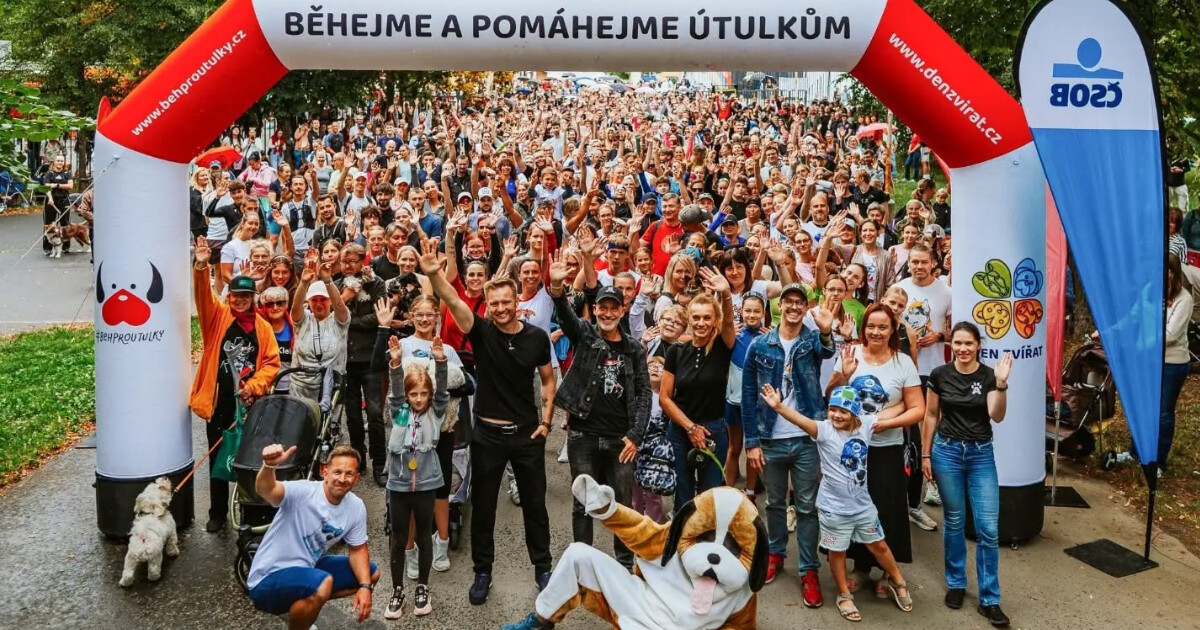 zdroj: Běh pro útulky