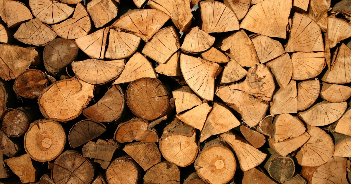 zdroj: Pixabay