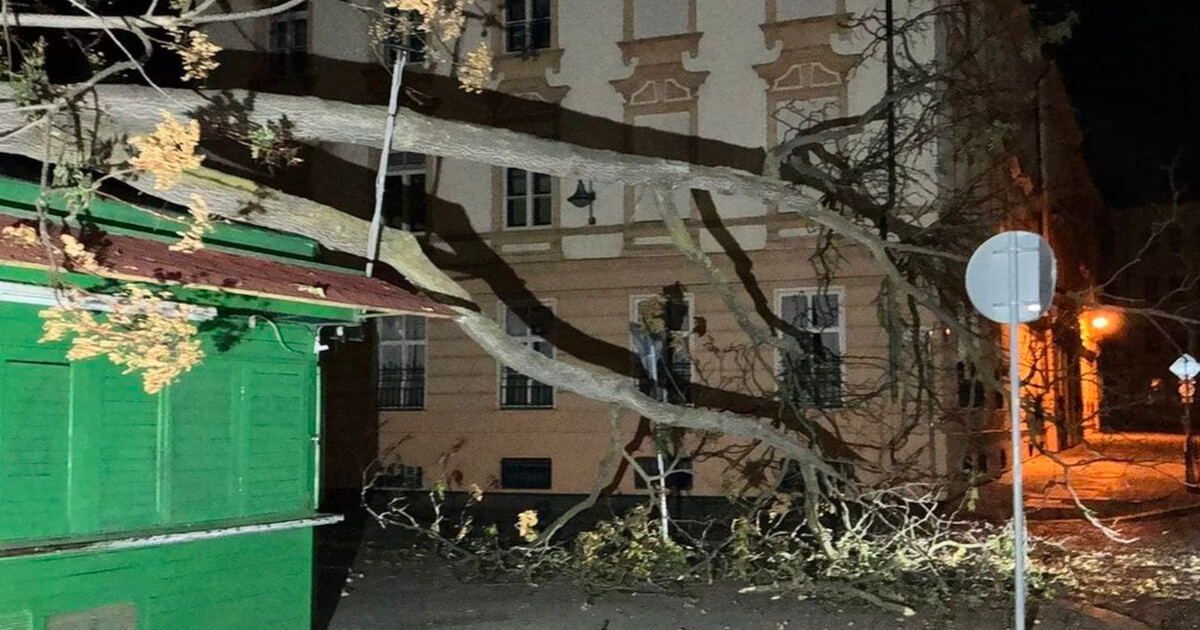 zdroj: MP Olomouc