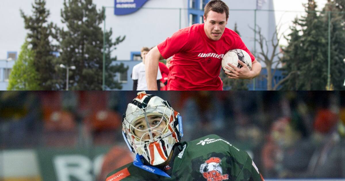 zdroj: Jan Procházka, Alena Zapletalová