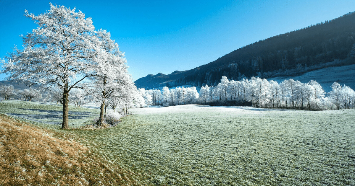 Ilustrační foto, zdroj: Pixabay
