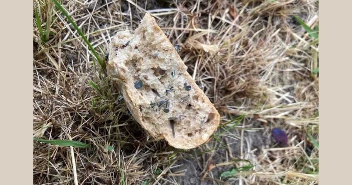 Zdroj: Magistrát města Olomouce 