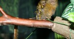 Foto: Zoo Olomouc