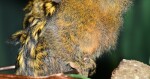 Foto: Zoo Olomouc