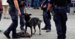 Foto: Policie ČR
