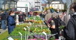 Foto: Výstaviště Flora Olomouc