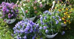Foto: Výstaviště Flora Olomouc
