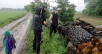 zdroj: losvesinos.cz