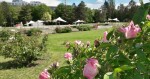 Foto: Výstaviště Flora Olomouc