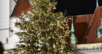 foto: Olomoucký Report