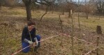 Zdroj: Třešňový sad Šternberk
