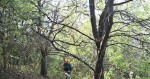 Zdroj: Třešňový sad Šternberk