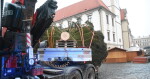 zdroj: Report