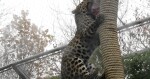 Zdroj: Zoo Olomouc