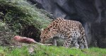 Zdroj: Zoo Olomouc