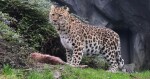 Zdroj: Zoo Olomouc