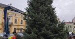 Strom v Litovli a rozsvícený strom v Olomouci na Horním náměstí, zdroj: město Litovel/Report.cz