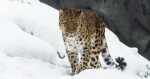 Zdroj: Zoo Olomouc
