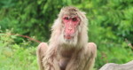 Zdroj: Zoo Olomouc