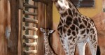 zdroj: Zoo Olomouc
