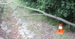 zdroj: PČR
