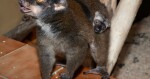 Zdroj: ZOO Olomouc
