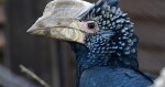 zdroj: ZOO Olomouc
