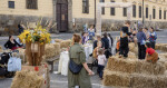 zdroj: Street art festival