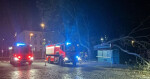 zdroj: MP Olomouc