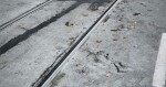 zdroj: Milujeme Olomouc/Pavel Očko