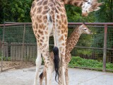 zdroj: ZOO Olomouc