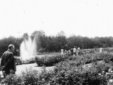 Historické fotografie Rozária
