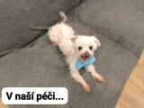 zdroj: Zastavme utrpení