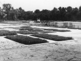 zdroj: Výstaviště Flora Olomouc