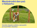 zdroj: město Jeseník
