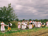 Průvod hanácké svajby; zdroj: archiv J. Otáhalové