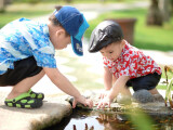 Ilustrační foto, zdroj: Pixabay