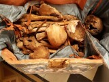 Zdroj: Arcidiecézní muzeum Olomouc 